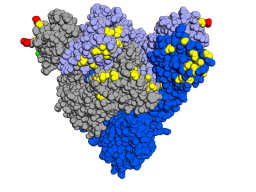 Cegah Varian Omicron, Pemerintah Larang WN dari Hong Kong Masuk Indonesia
