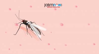 Kasus DBD Sidoarjo Melonjak 40 Persen, Waspada Lur!