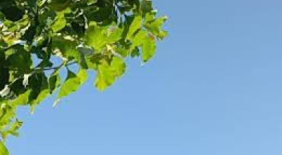 Prakiraan Cuaca Surabaya Selasa 10 September: Cerah Berawan Seharian