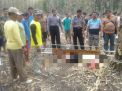 Diduga Terpeleset dari Pohon Jati, Kakek ini Ditemukan Tewas