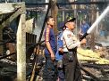 Kandang Peternakan di Blitar Terbakar, 800 Ayam Terpanggang
