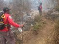 Kebakaran Hutan di Gunung Penanggungan Juga Bakar Situs Purbakala 