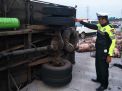 Truk Bermuatan Babi Terguling di Tol Pasuruan