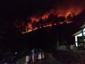 4 Hektar Lahan Hutan Rakyat di Gunung Bancak Terbakar
