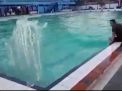 Kemunculan Ombak Besar di Kolam Renang ini Dikaitkan Bencana, Percaya?