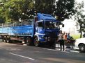 Gara-gara Pohon Tumbang, Dua Truk di Pasuruan Bertabrakan
