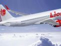 Pesawat Lion Air JT 610 yang Jatuh Buatan 2018