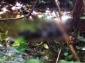 Sesosok Mayat Ditemukan Terlentang di Tengah Hutan di Blitar