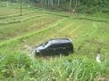 Mobil Minibus Terperosok Masuk Sawah