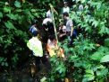 Menggigil Kedinginan, Orang Gila ini Ditemukan Tersesat di Hutan