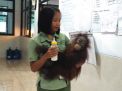 Nadia, Bayi Orangutan Koleksi ke 26 Taman Safari Prigen