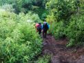 15 Pendaki Terjebak di Gunung Butak