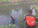 Tukang Becak Ditemukan Tewas Mengambang di Sungai Endrosono