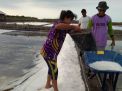 Produksi Melimpah, Harga Garam di Probolinggo Anjlok
