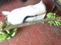 Kakek Pemikul Pisang Tewas Diserempet Biker di Ponorogo