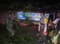 Puluhan Pohon Tumbang dan Rumah Rusak Diamuk Puting Beliung di Ngawi