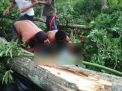 1 Orang Tewas Tertimpa Pohon Akibat Puting Beliung di Probolinggo