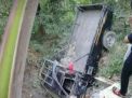 Mobil Pikap Terjun ke Jurang di Madiun, 1 Orang Tewas