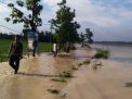 Hujan Deras, Sawah dan Rumah Warga di Bojonegoro Terendam Banjir