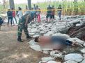 Pria di Jombang Tewas dengan Luka Tusukan di Area Makam