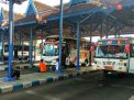 Layani Pemudik, Bus di Terminal Patria Blitar Ditambah Dua Kali Lipat