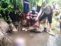 Diduga Jatuh dari Tebing, Sulaiman Ditemukan Tewas Mengapung di Sungai