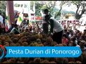 Video: Pesta Durian di Ponorogo