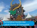 Video: Kemeriahan Kontes dan Labuh Durian di Trenggalek