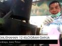 Video: Pemusnahan 12 Kilogram Ganja di Surabaya