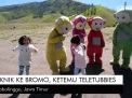 Video: Piknik ke Bromo, Ketemu Teletubbies
