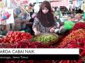 Video: Harga Cabai di Ponorogo Naik
