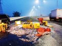 Pikap Bermuatan Ikan Terguling di Tol Sidoarjo