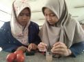 Top, Mahasiswa ITS Ciptakan Baterai Gel dari Buah Tomat