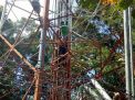 Pemuda yang Panjat Tower 80 Meter Ternyata Putus Asa Gagal Menikah