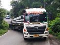 Truk Bermuatan Tiang Listrik Mogok, Jalur Ponorogo-Pacitan Tutup 4 Jam