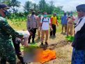 Mayat Wanita Pakai Baju Dalaman Ditemukan di Pematang Sawah Banyuwangi