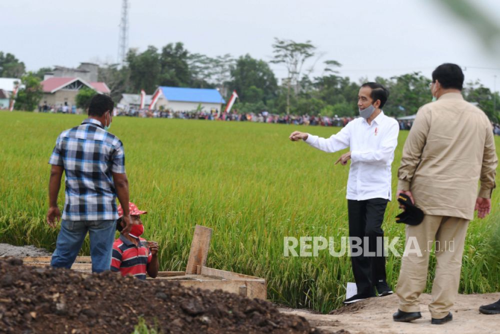 Presiden Joko Widodo didampingi Menteri Pertahanan Prabowo Subianto meninjau lahan Food Estate atau lumbung pangan (Foto: ANTARA/Hafidz Mubarak A)

