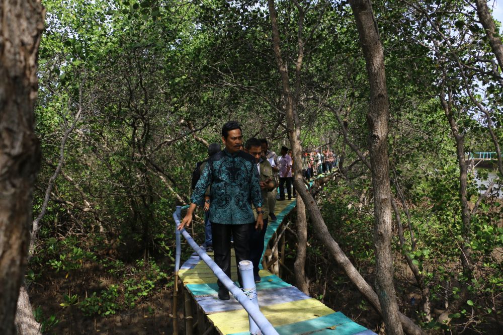 Ecowisata mangrove di Desa Daun Sangkapura, Bawean