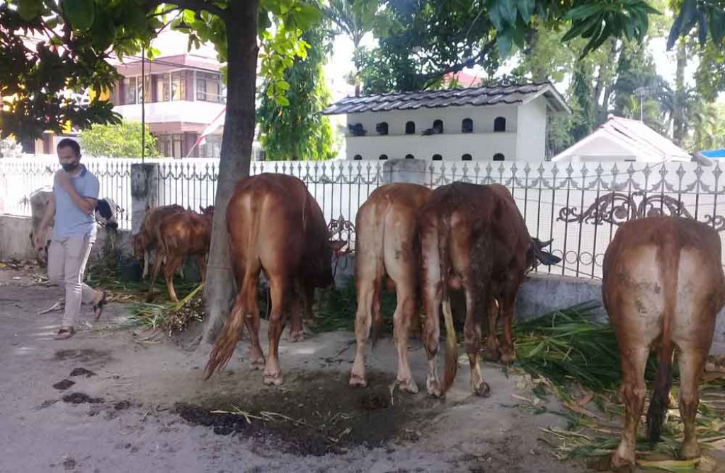 2 Pencuri dan Penadah Hewan Ternak Dibekuk, 7 Ekor Sapi dan 5 Kambing Disita
