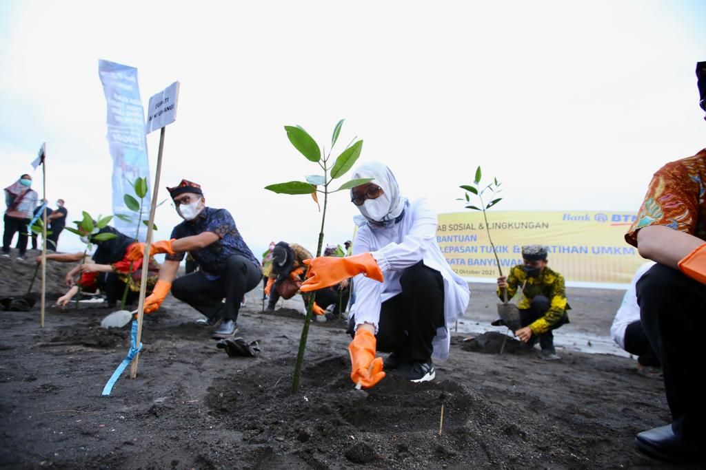 Bupati Ipuk tanam pohon mangrove di pesisir Banyuwangi