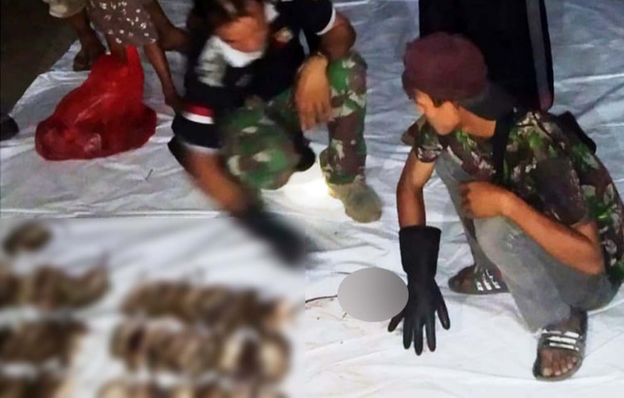 Para penembak jitu mengumpulkan tikus hasil buruannya di Gresik