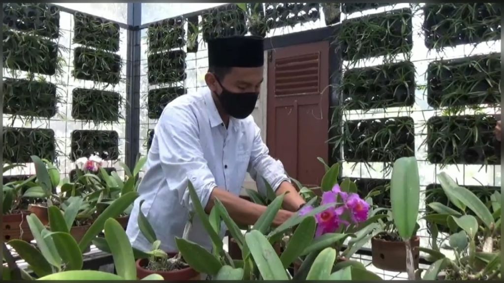 Santri Ponpes Kanzun Najjah membudidayakan bunga anggrek bernilai ekonomi tinggi. (Foto: Galih Rakasiwi/jatimnow.com)