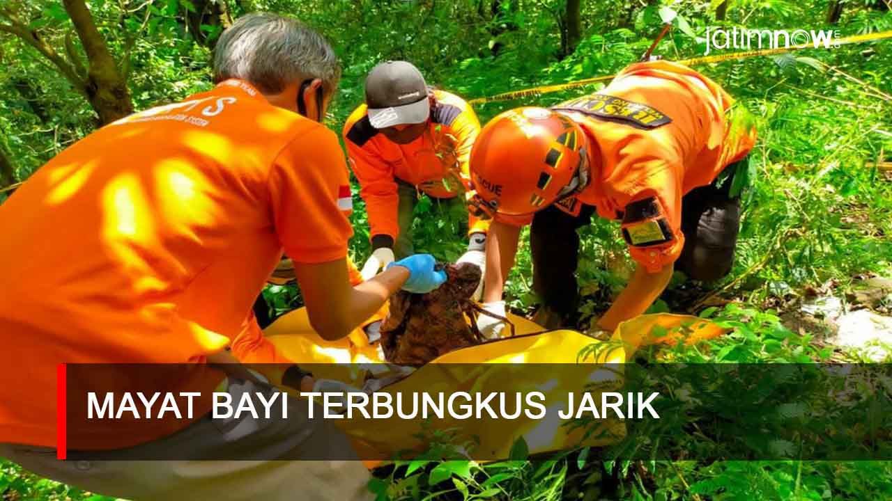 Video: Mayat Bayi Terbungkus Jarik
