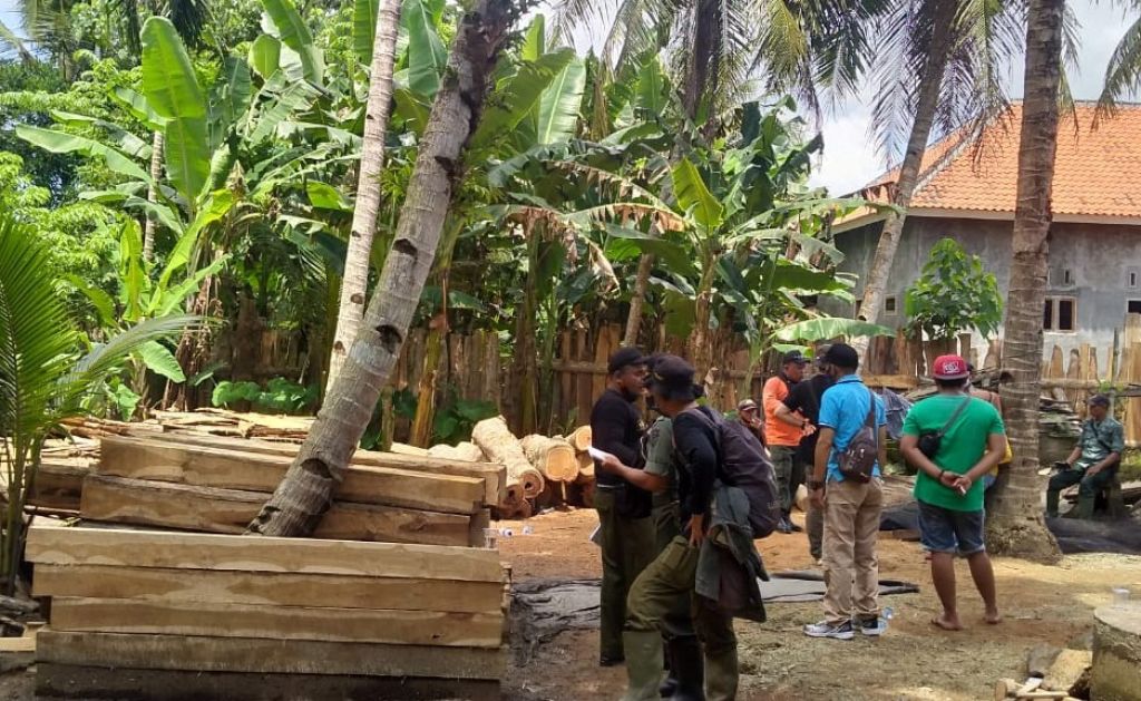 Barang bukti kayu diduga ilegal logging disita dari gudang warga.