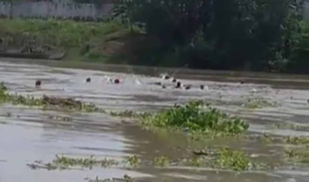 Perahu penyeberangan terbalik di Bengawan Solo (Foto: tangkapan layar)