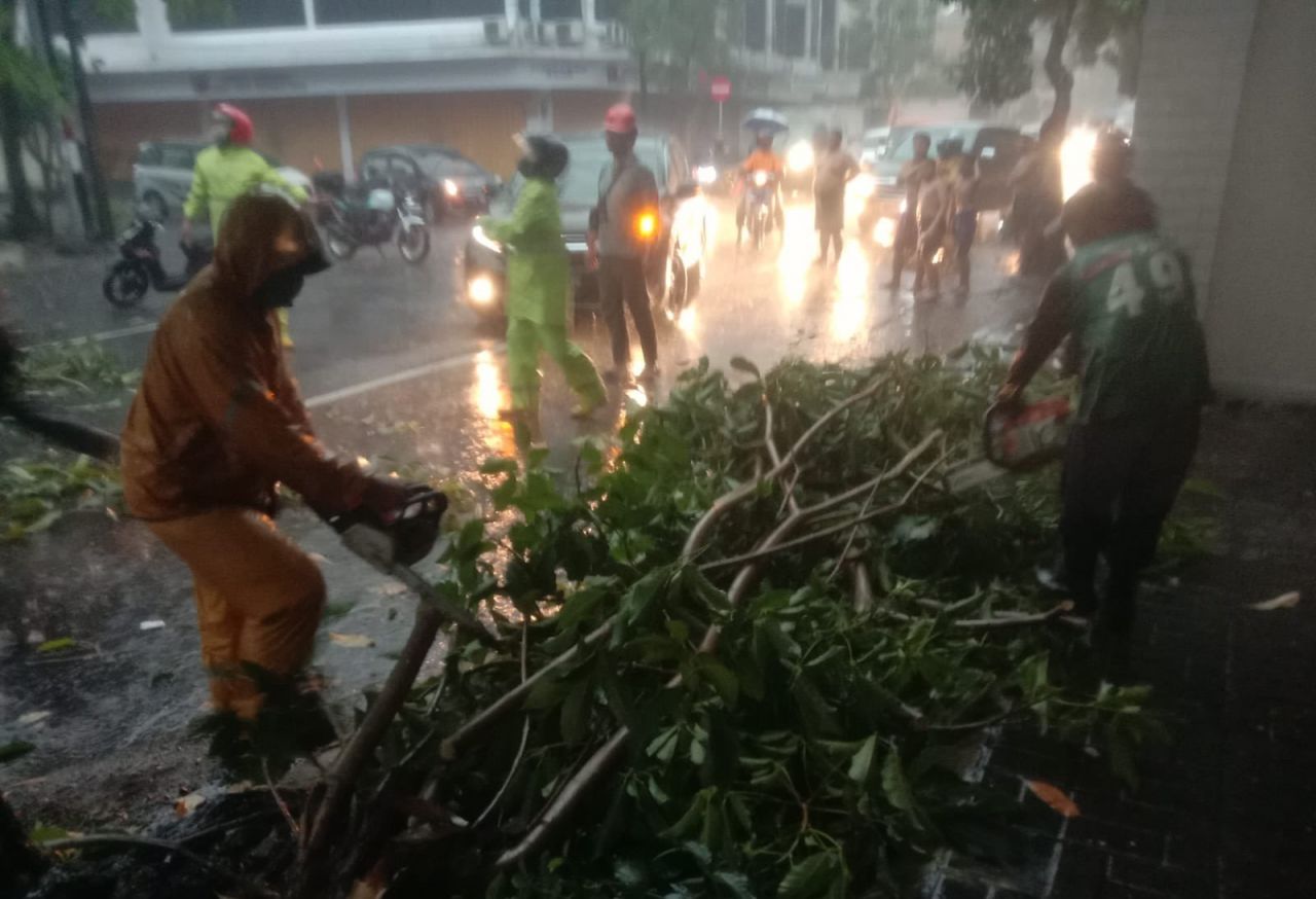 Petugas dibantu warga mengevakuasi pohon tumbang di sejumlah ruas Kota Surabaya. (Foto: Commadsurabaya)