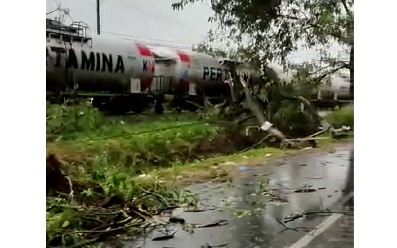 Pohon tumbang timpa kereta api di Pasuruan (Foto: Istimewa)