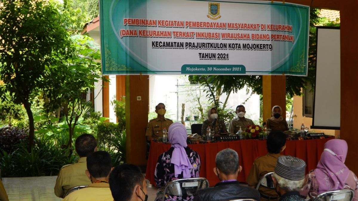 Wali Kota Mojokerto Ika Puspitasari saat program inkubasi wirausaha bidang pertanian.