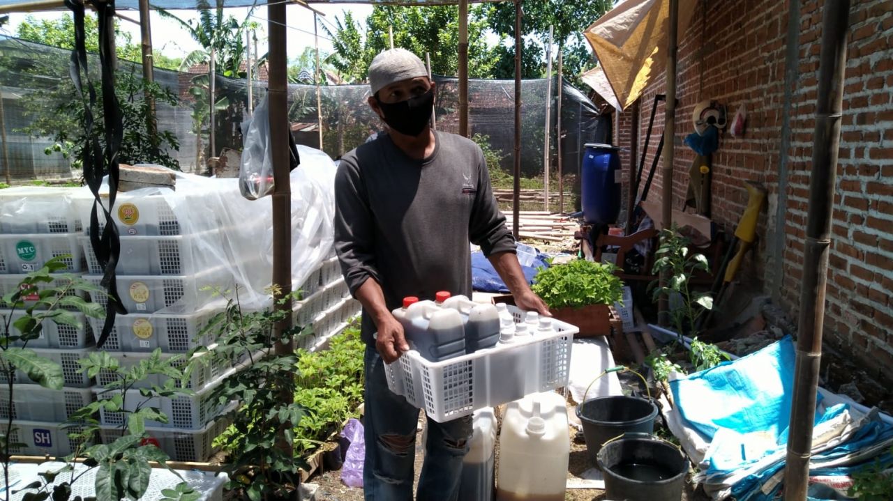 Bisnis pupuk organik cair (POC) dari urine kelinci di Ponorogo.