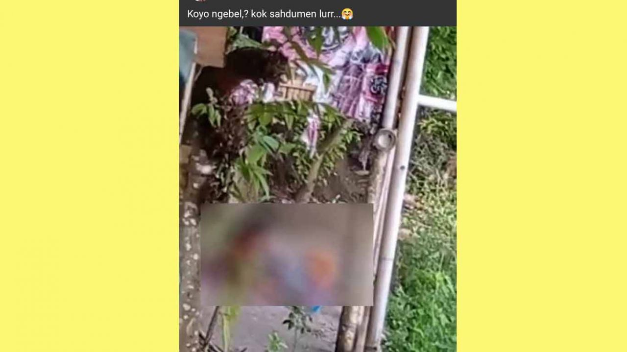 Video Pasangan Remaja Bercumbu Disebut di Telaga Ngebel Ponorogo Jadi Viral